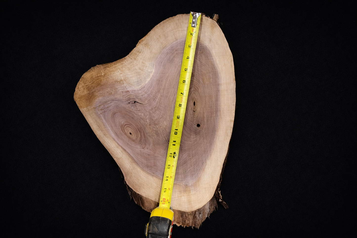 Large Walnut Ovals - Live Edge