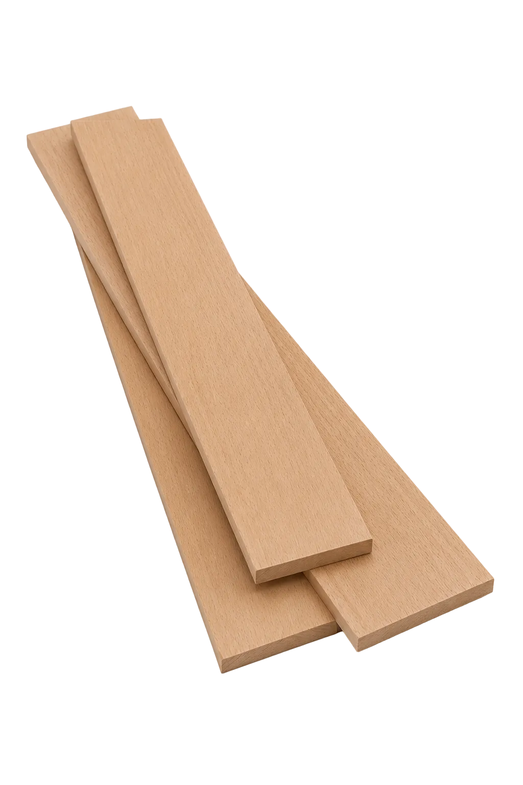 S2S European Beech