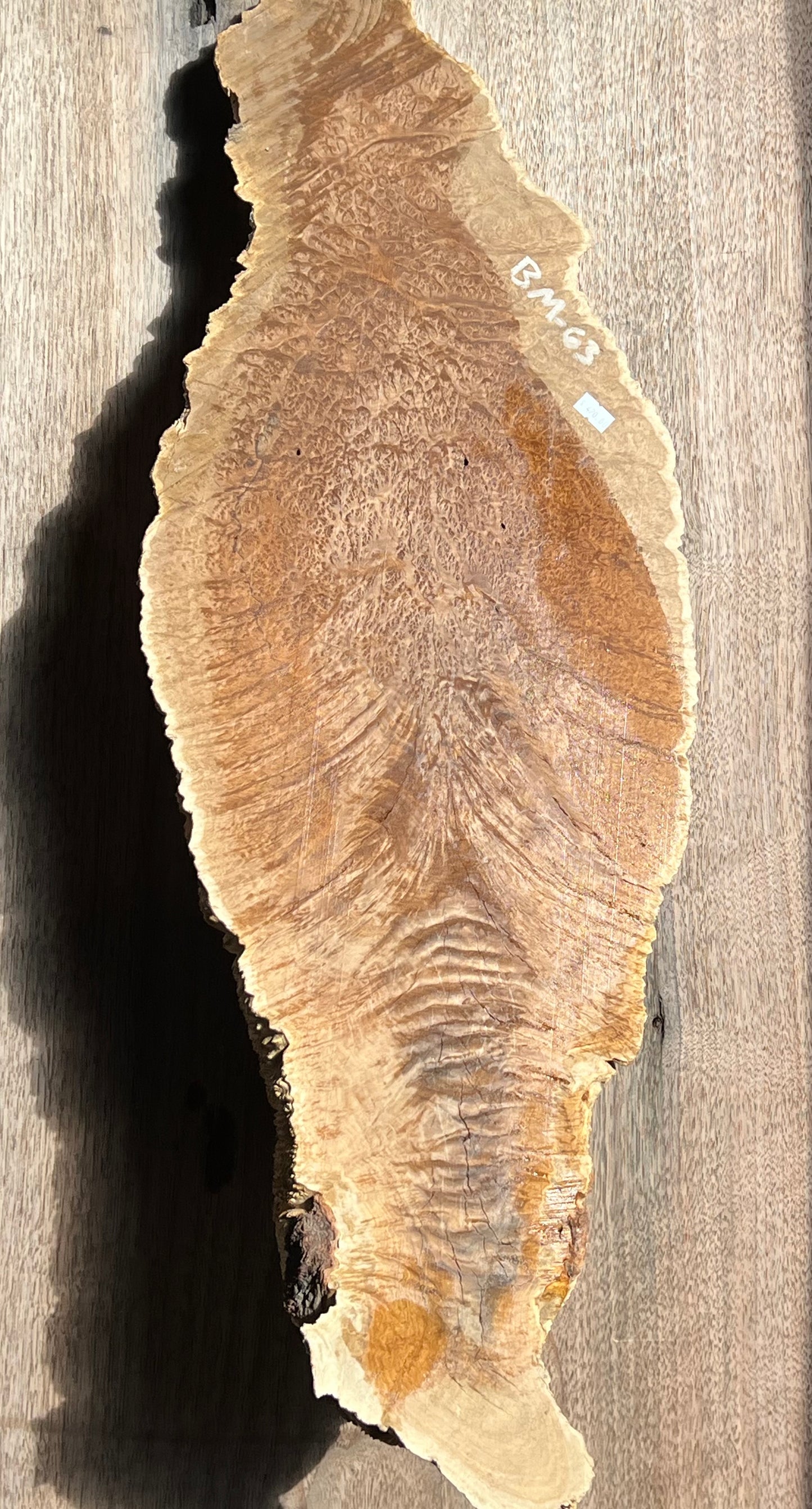 Brown Mallee Burl BM-63