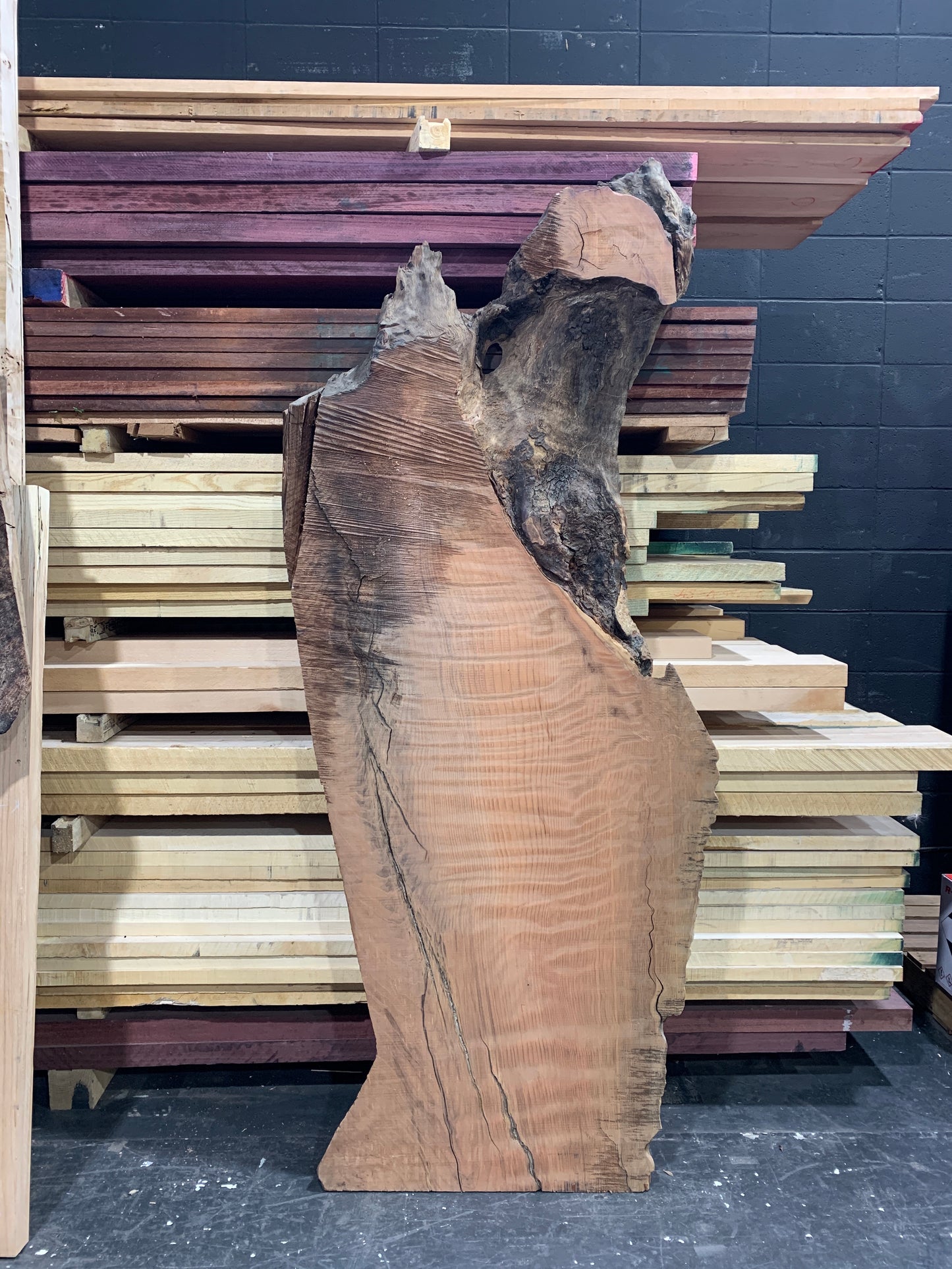 78" Redwood Burl Slab - RW-117