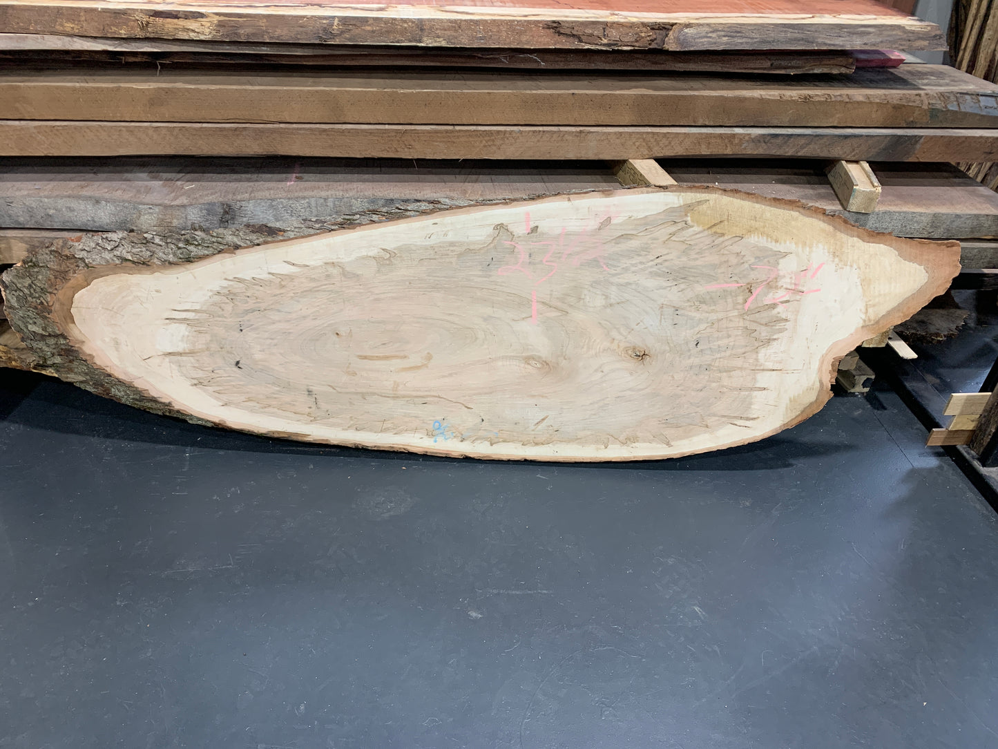 Ambrosia Maple Cross Cut Cookie Slab #16