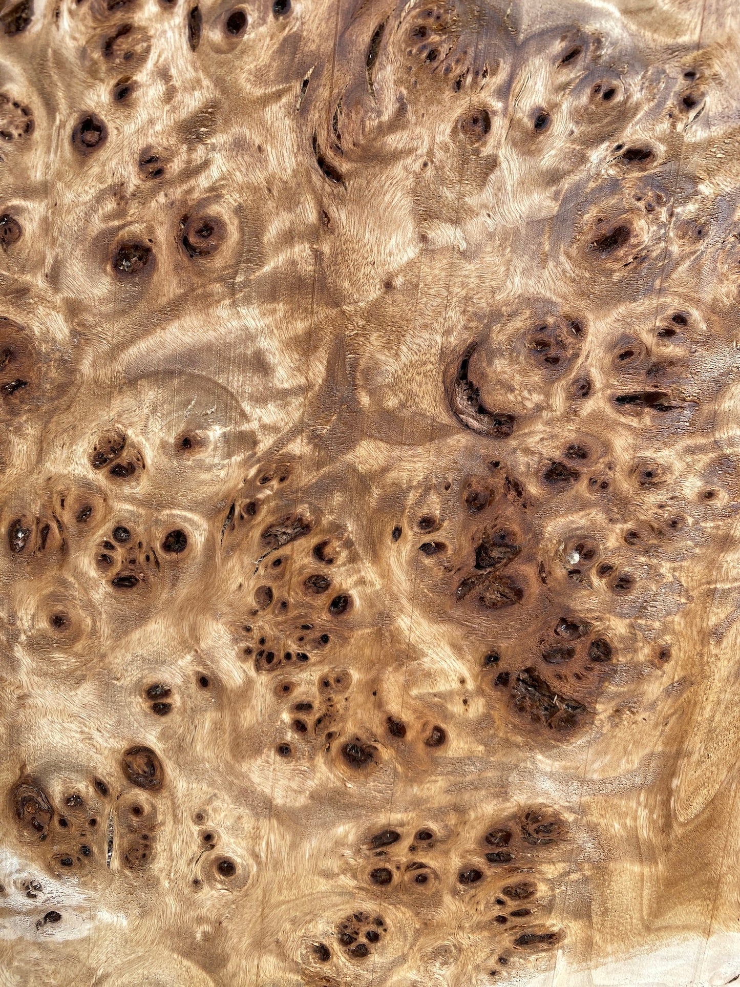 Mappa Burl Slab MB11-3
