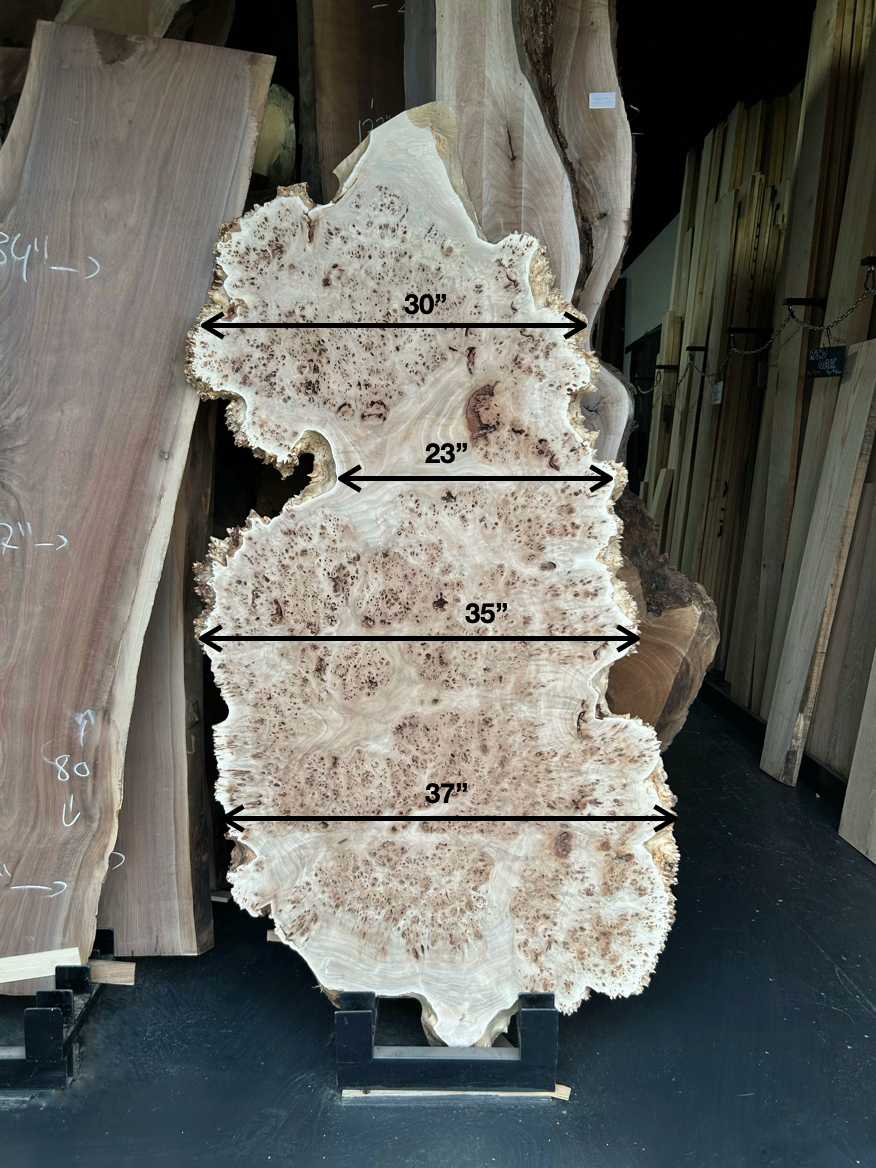 Mappa Burl Slab