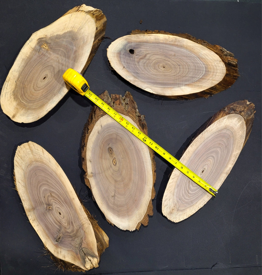 Medium Walnut Ovals - Live Edge