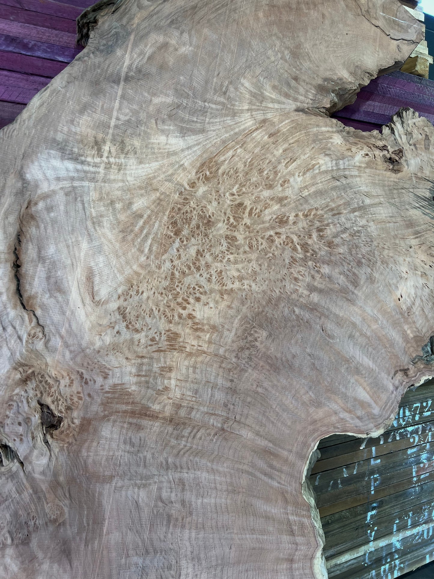 96" Redwood Burl RW-4-3