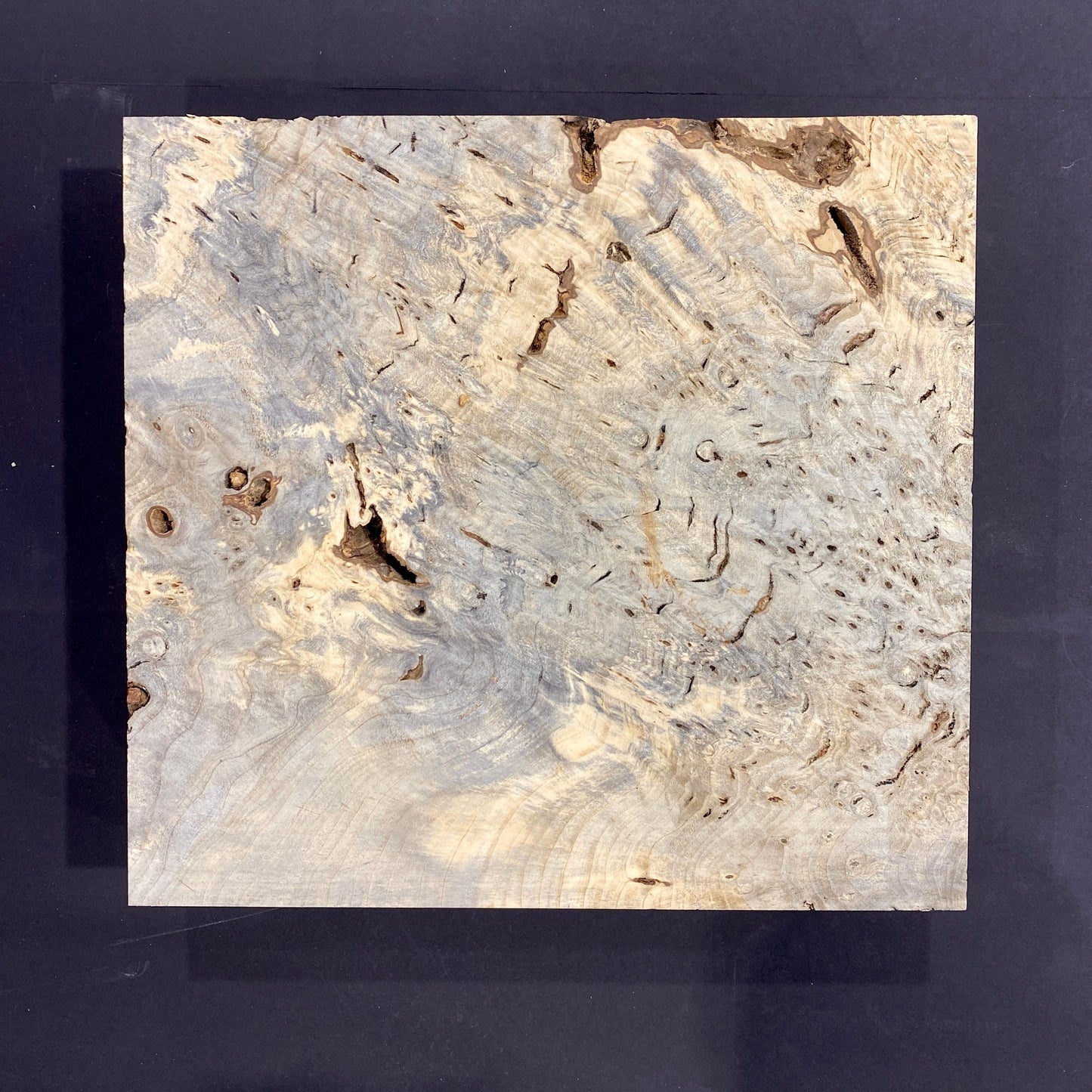 Buckeye Burl Blank, BI10-003