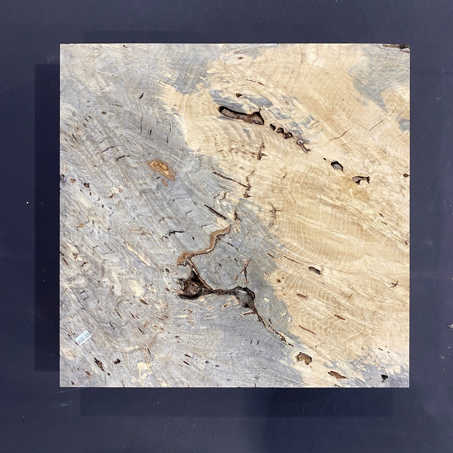 Buckeye Burl Blank, BI10-004