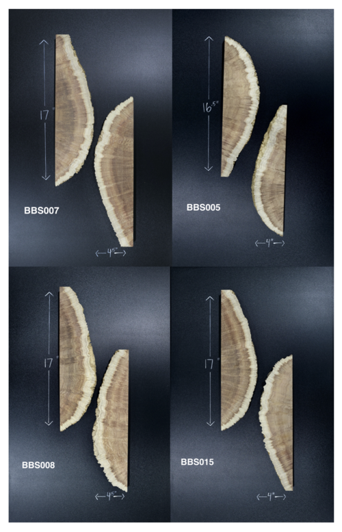 Black Box Burl Cap Slices - 4 Sets Available