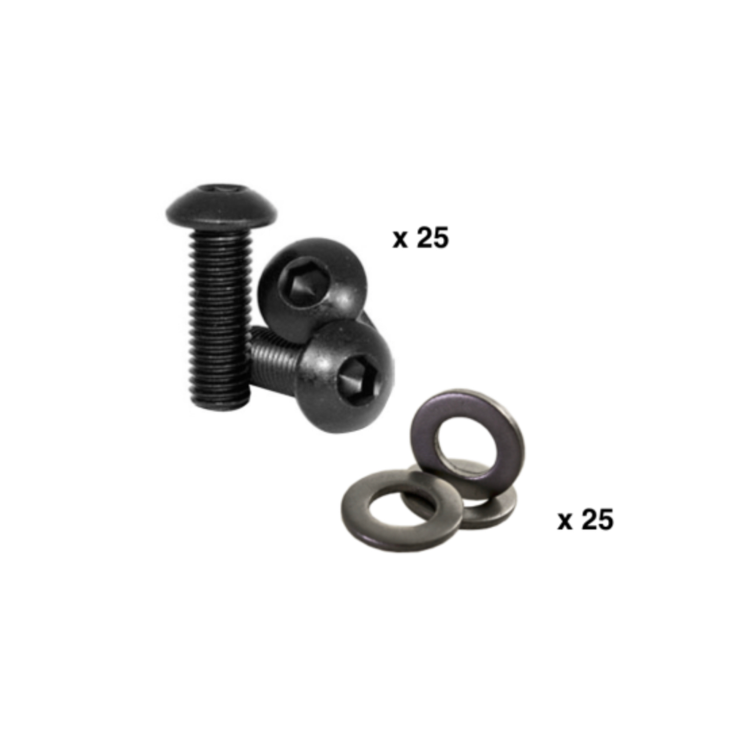 Button Head Screws & Washers for 1/4-20 Inserts - 25 QTY