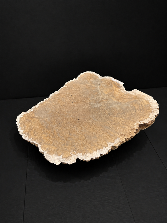 Brown Mallee Burl BM-77