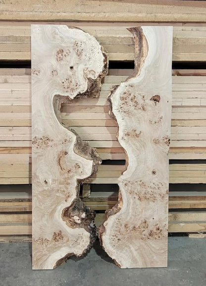 Mappa Burl 70" River Set #1