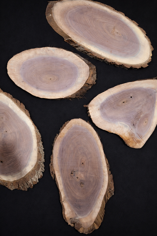 Large Walnut Ovals  - Live Edge