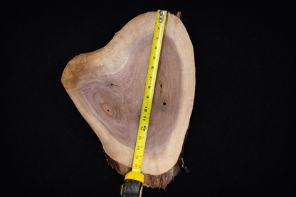 Large Walnut Ovals  - Live Edge