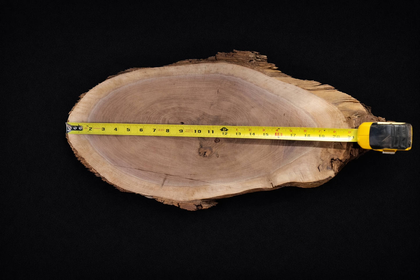 Large Walnut Ovals  - Live Edge