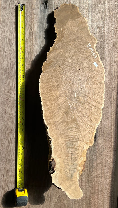 Brown Mallee Burl BM-63