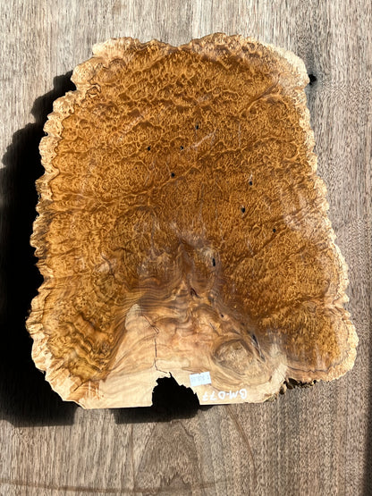 Brown Mallee Burl BM-77