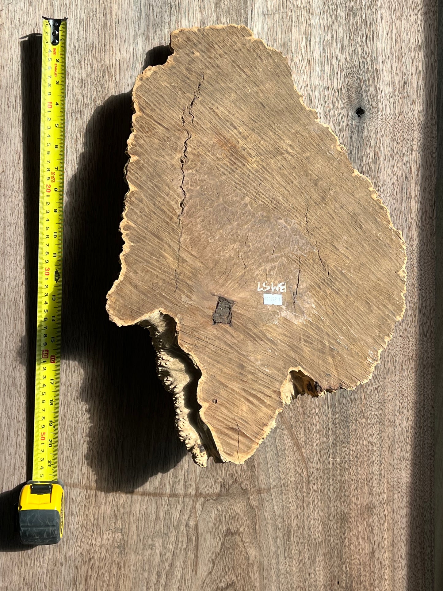 Brown Mallee Burl BM-57