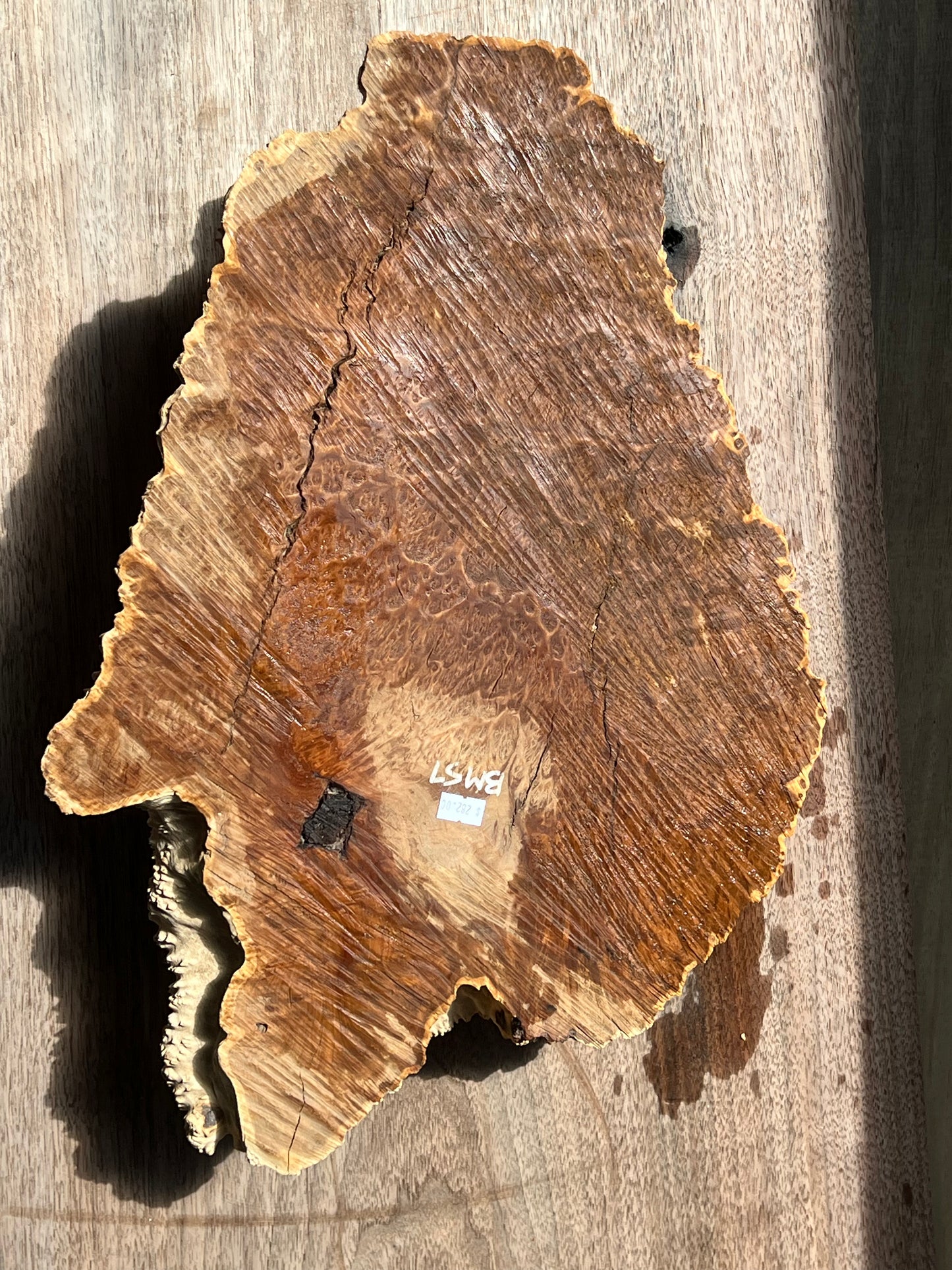 Brown Mallee Burl BM-57
