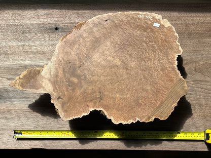 Brown Mallee Burl BM-76