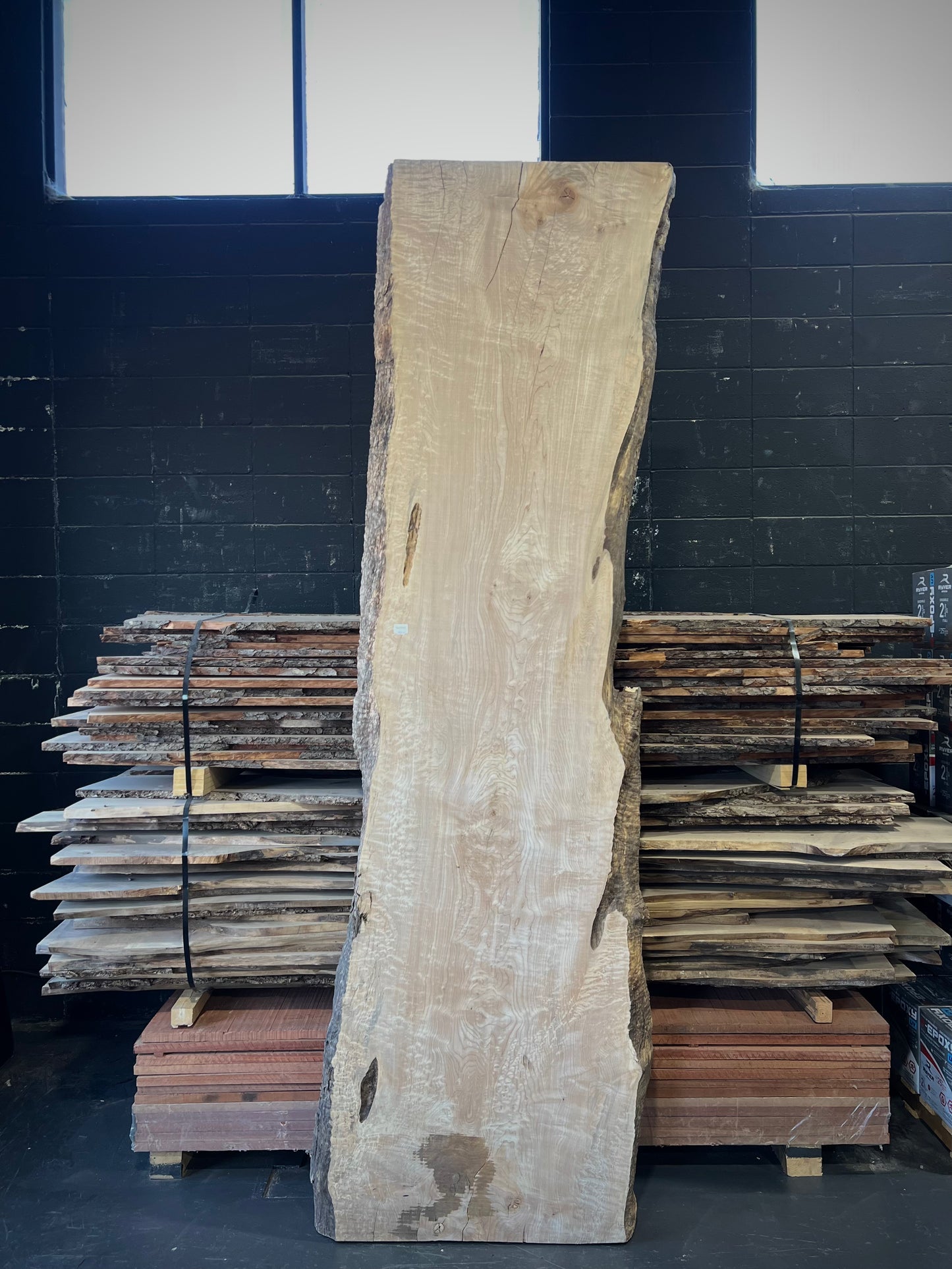 Quilted Big Leaf Maple Slab #1