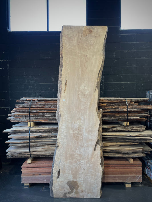 Quilted Big Leaf Maple Slab #1