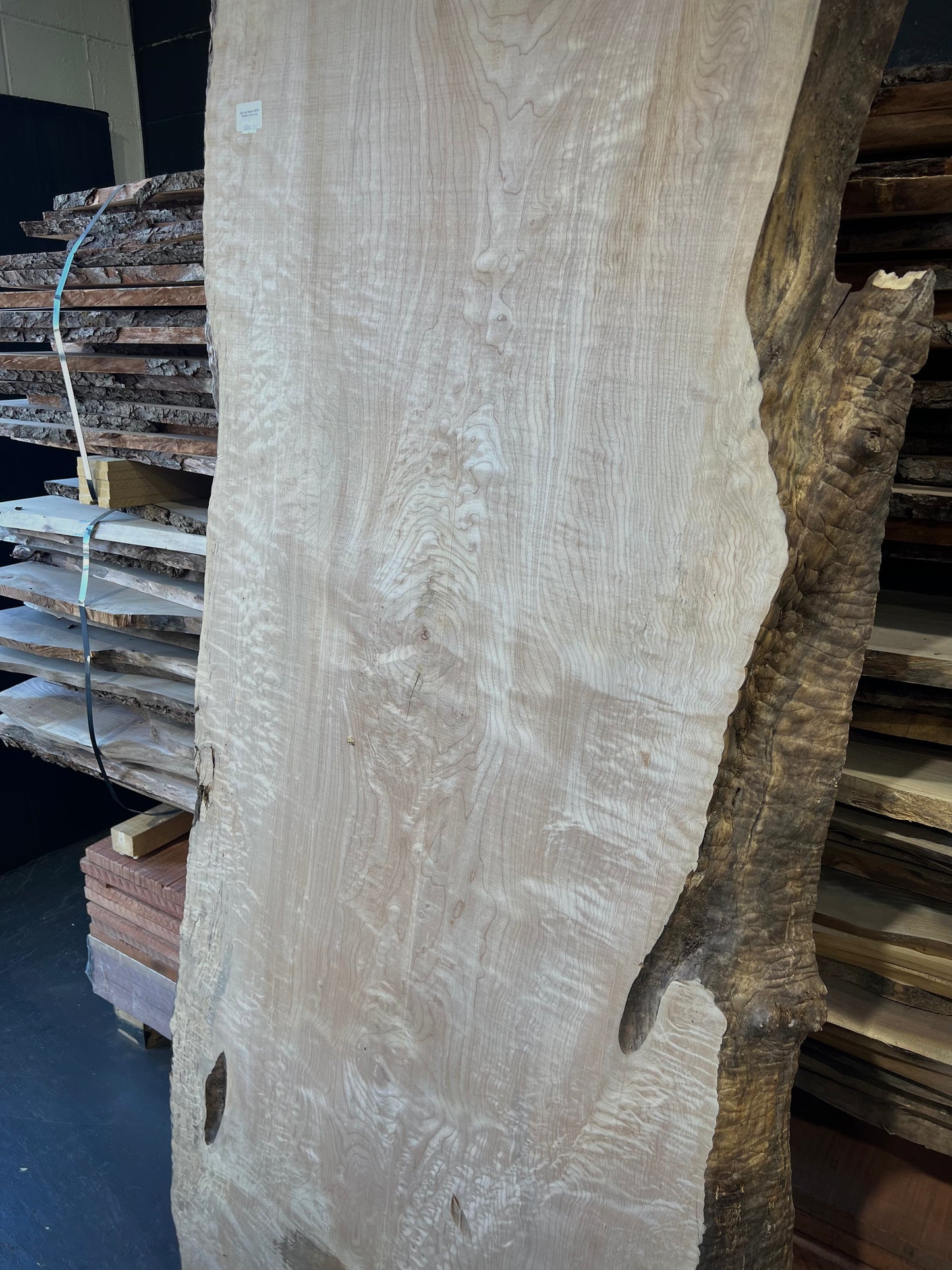Quilted Big Leaf Maple Slab #1