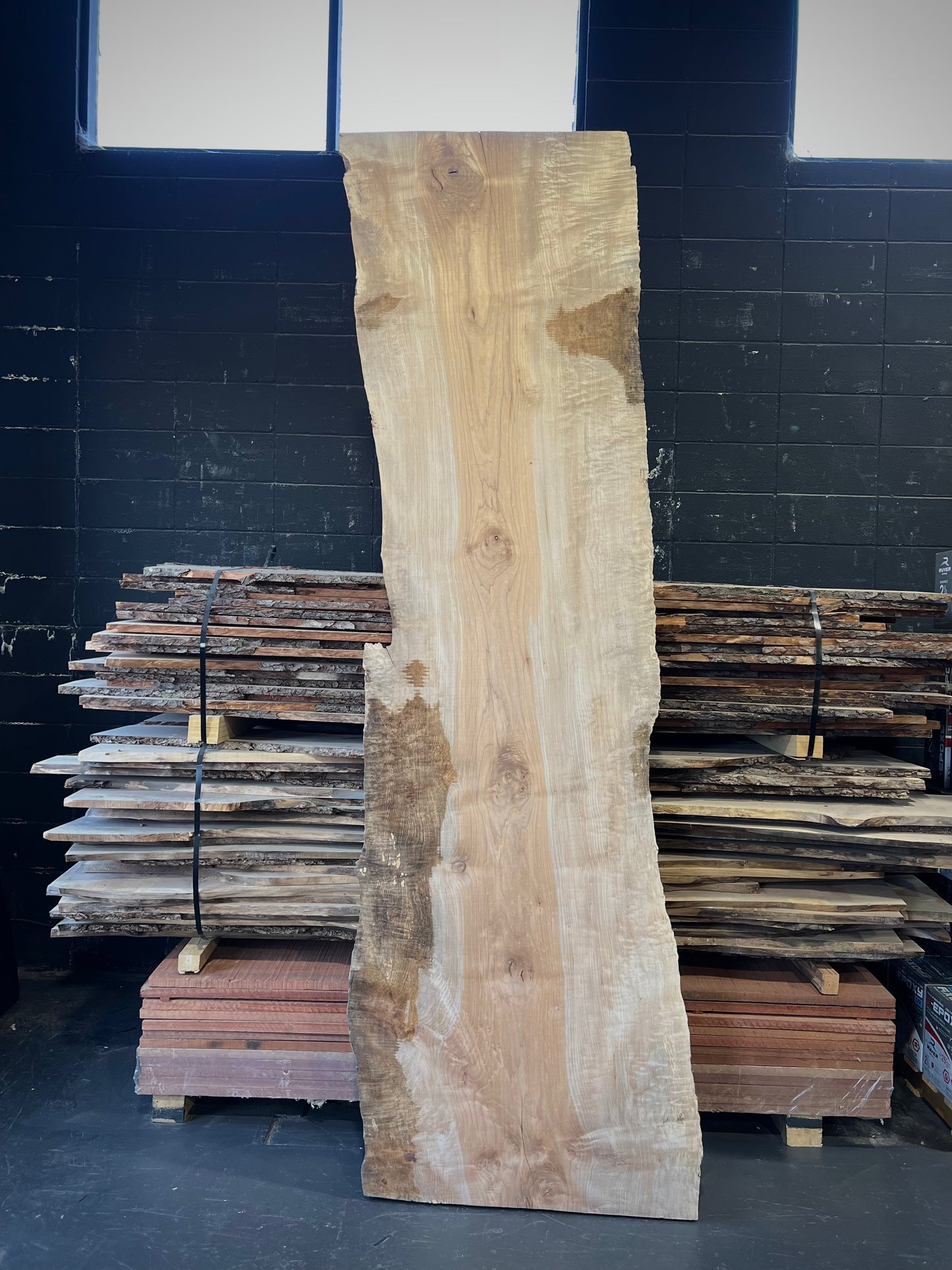 Quilted Big Leaf Maple Slab #1