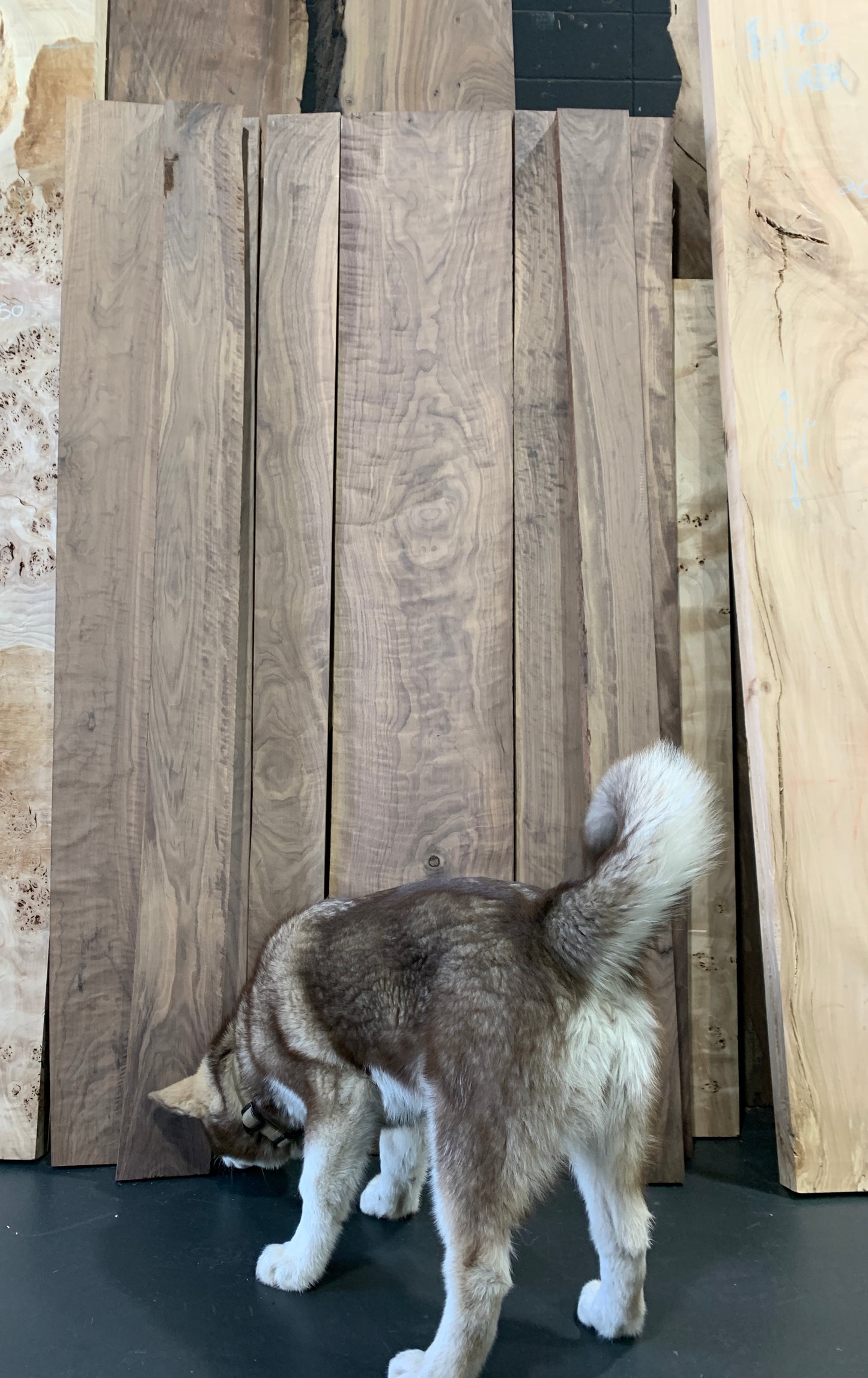 S2S Figured Black Walnut