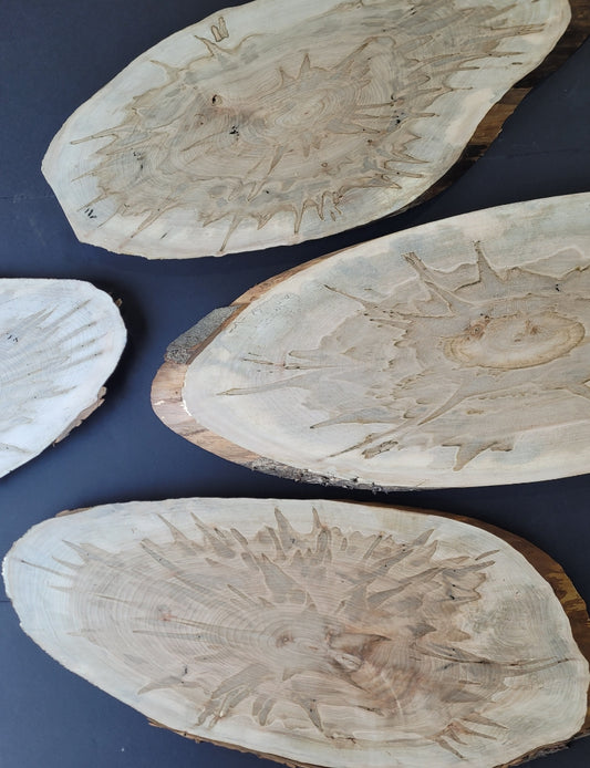 XL Ambrosia Maple Ovals  - Live Edge