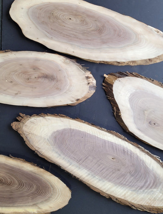 XL Walnut Ovals  - Live Edge