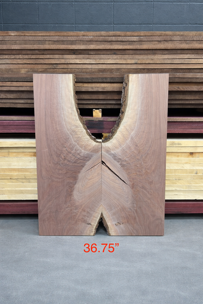 Black Walnut Bookmatch Set #5