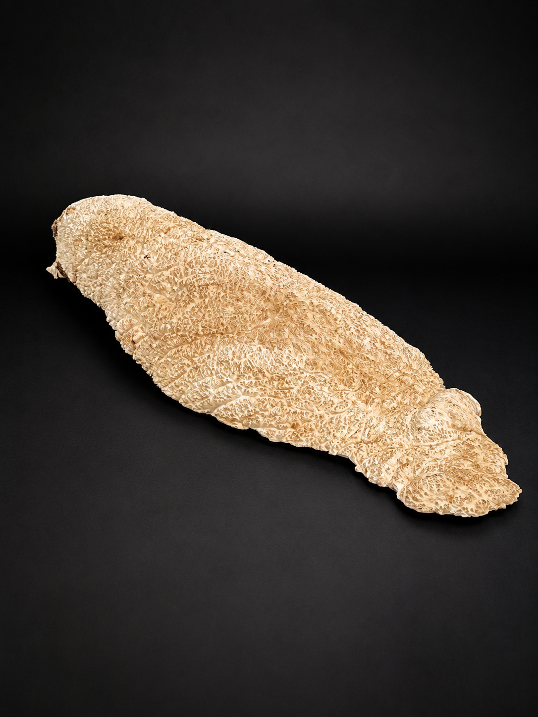 Brown Mallee Burl BM-63