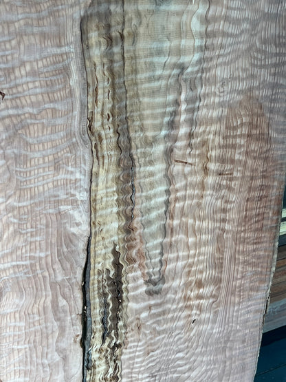 95" Redwood Burl RS-116