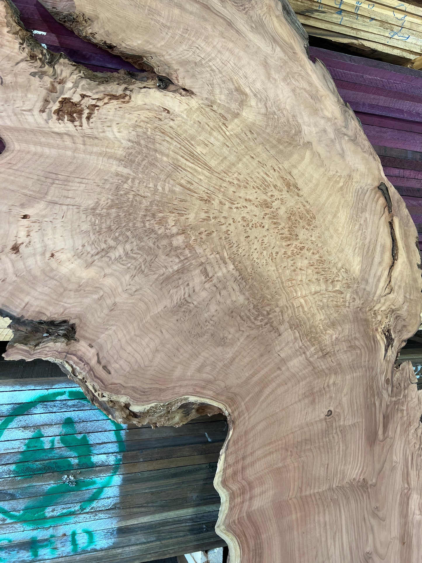 96" Redwood Burl RS-22