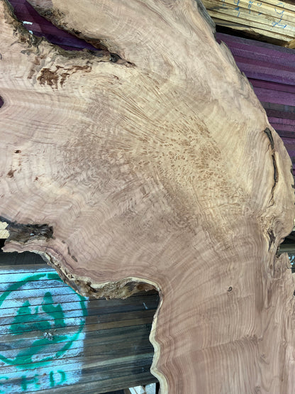 96" Redwood Burl RS-22