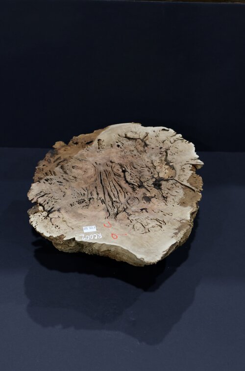 Collections – WoodCache