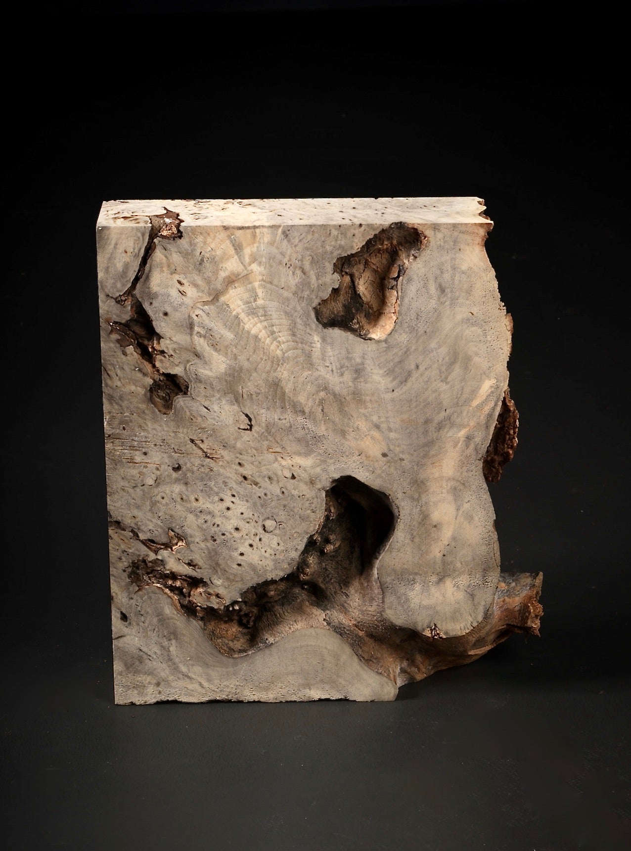 Buckeye Burl piece, BI10-002